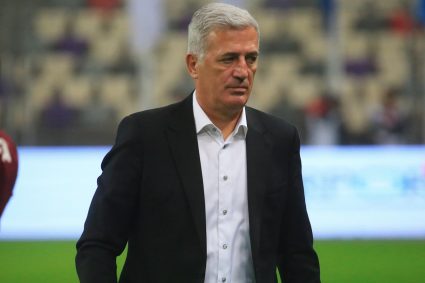 Sélection nationale :Petkovic dresse un premier bilan de son parcours avec les Verts