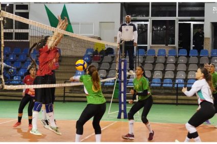 Fédération algérienne de volley-ball : Play-offs, coupe et stages, tout s’enchaîne jusqu’au mois de mai !
